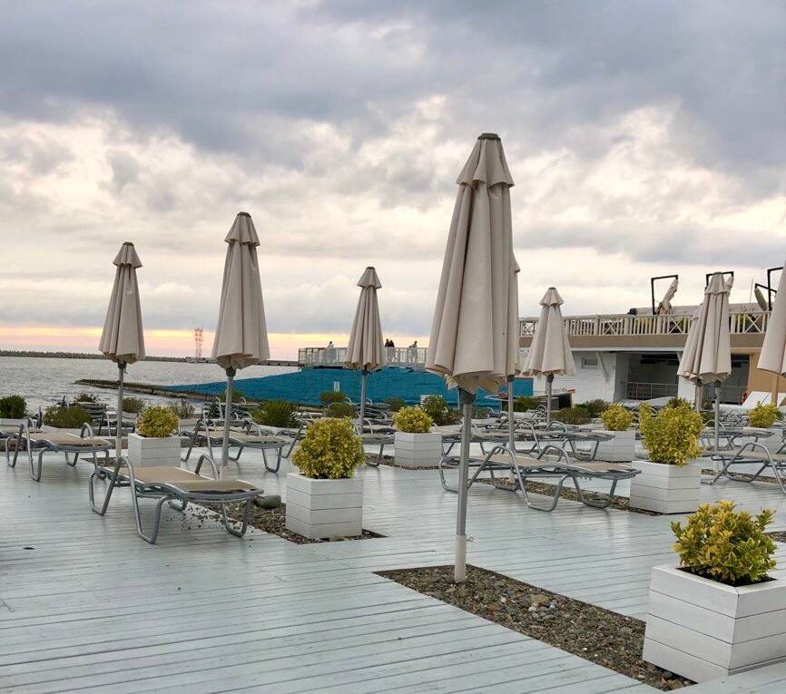 фото: Полиция Сочи  📷
