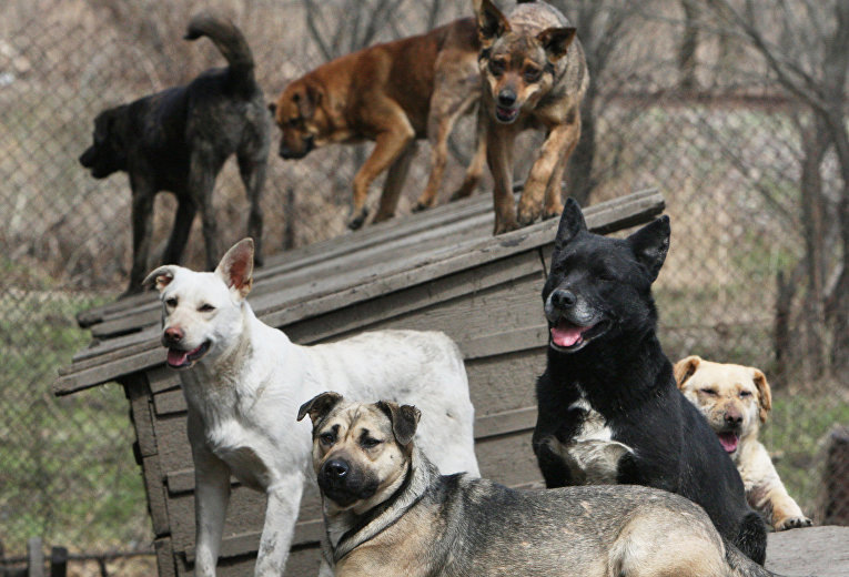 © РИА Новости. , Виталий Аньков