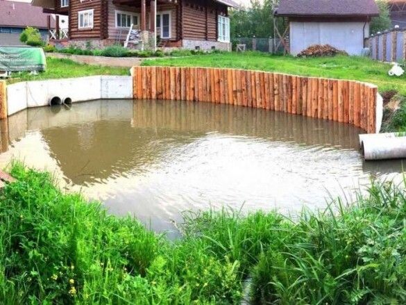 Водоем для дренирования участка https://i.pinimg.com/originals/af/8a/94/af8a943a043464655d7d626aca141fdb.jpg