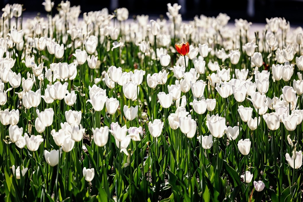    Фото © Дмитрий Дубинский / Абзац