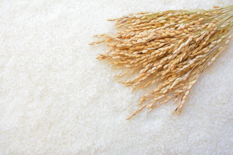    Фото: Национальный рисовый союз