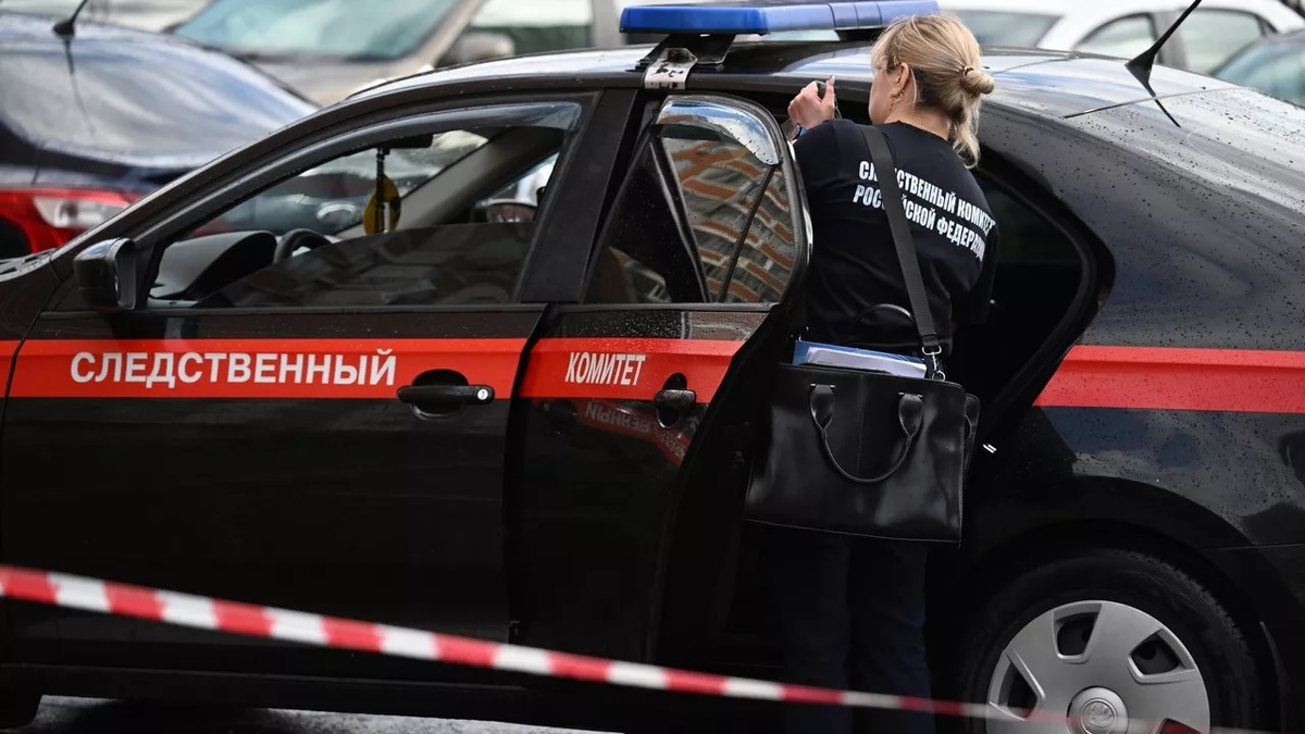 Фото: РИА «Новости» (https://cdnn21.img.ria.ru/images/07e9/05/17/2018671307_0:99:3072:1827_1280x0_80_0_0_fc1f0f0786e76263962695b9ba054237.jpg.webp)