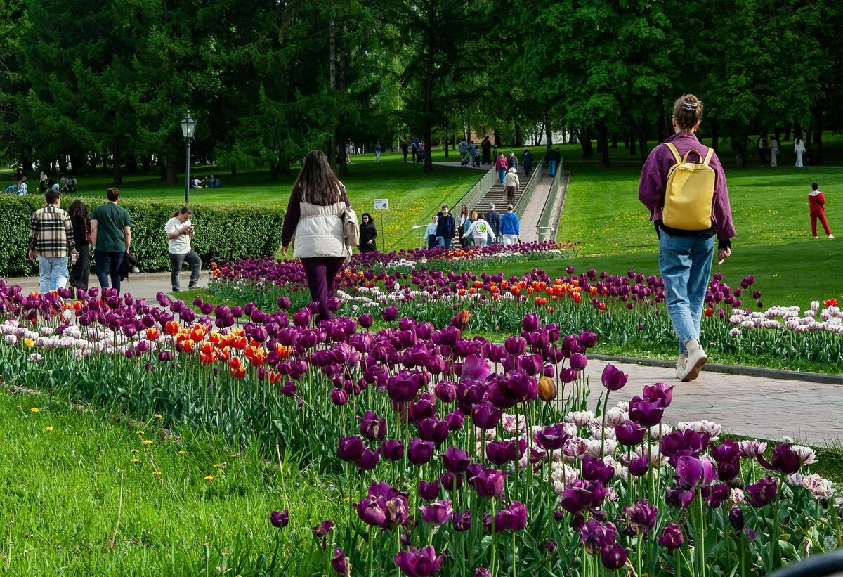    В Москве грозы, а в Центральной России – лето: когда наконец потеплеет?