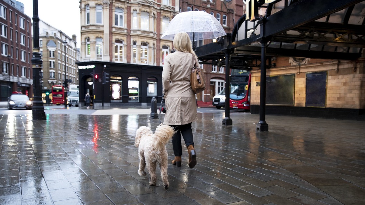    Где в России резко изменится погода? Фото: Freepik