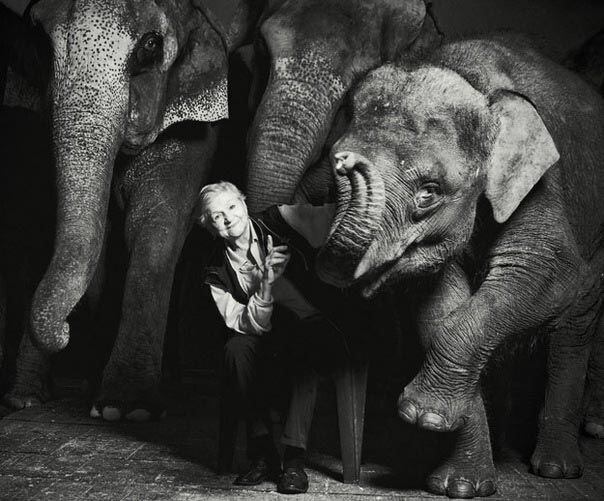    Нина Корнилова / Источник: ruscircus.ru