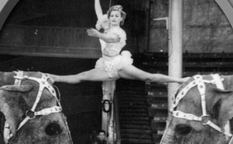     / Источник: Социальные сети