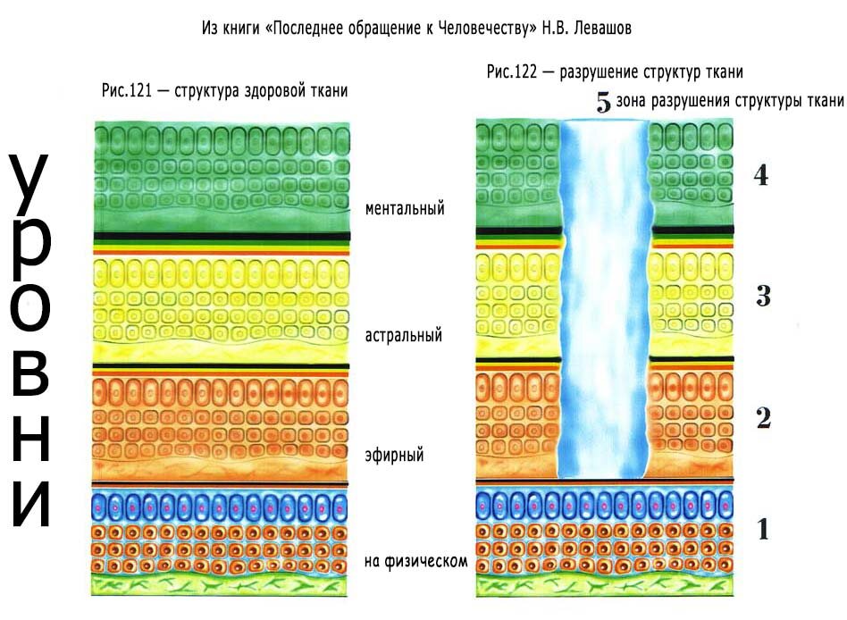 Как выглядит здоровая и разрушенная ткань на всех четырёх уровнях — от физического до ментального. Иллюстрации из книги Н. В. Левашова «Последнее обращение к Человечеству», рис.121–122