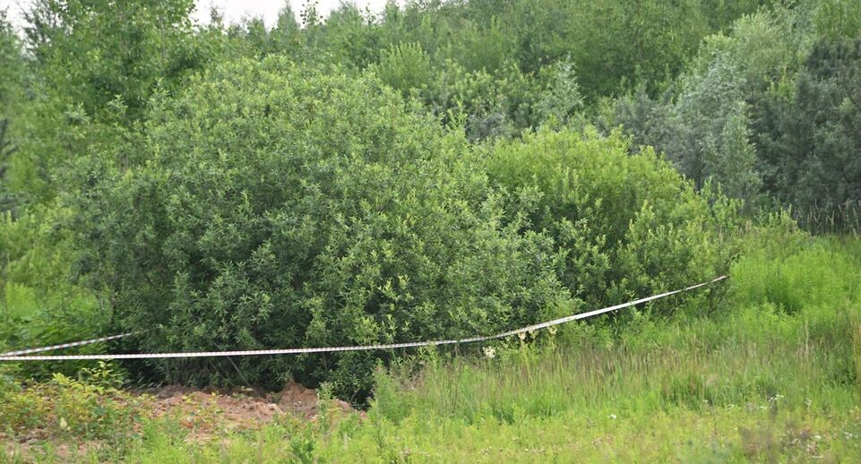    Komsomolskaya Pravda/Global Look Press / www.globallookpress.com