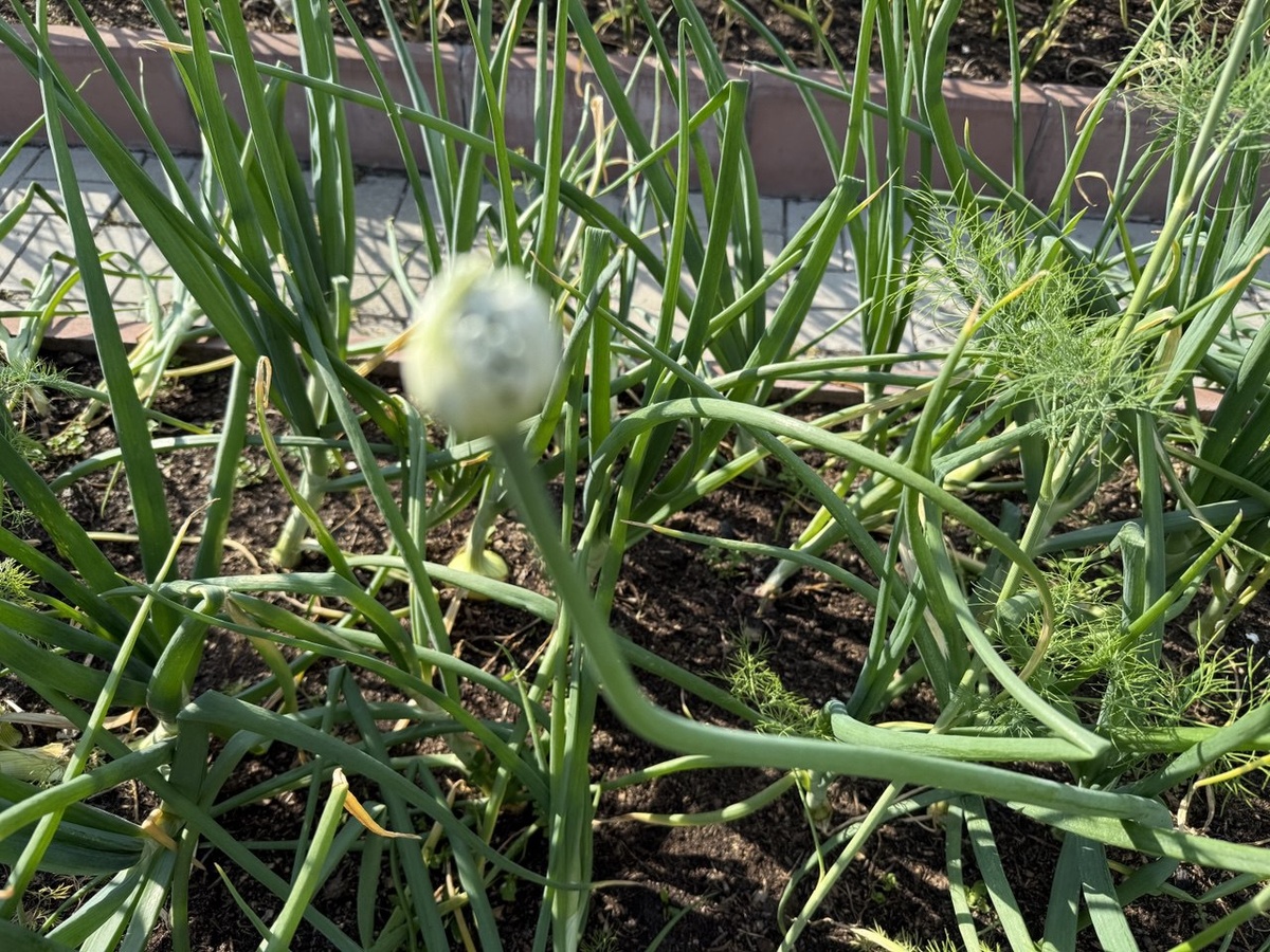 Фото автора канала Дом с кипарисами