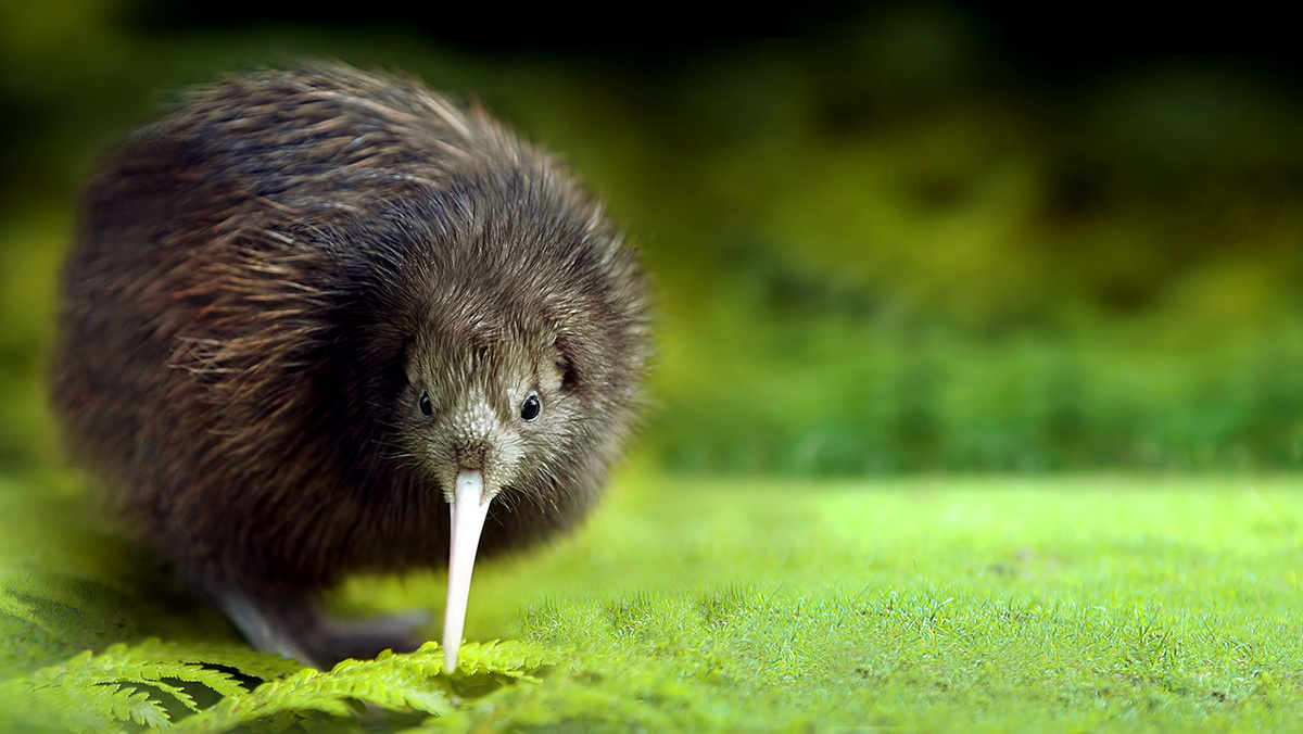 Фото: Mastak80/Shutterstock/FOTODOMкак выглядит