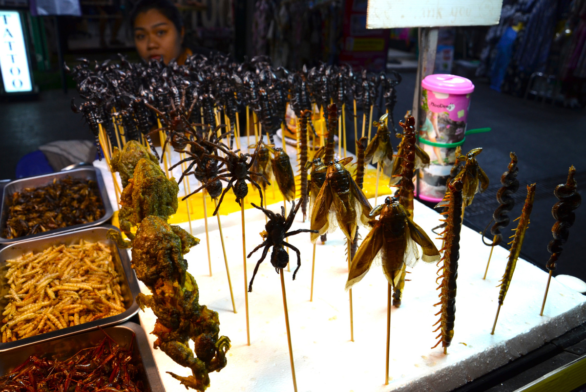 Жареные пауки, скорпионы, змеи, многоножки и лягушки. Улица Каосан Роуд. Бангкок. Фото автора.