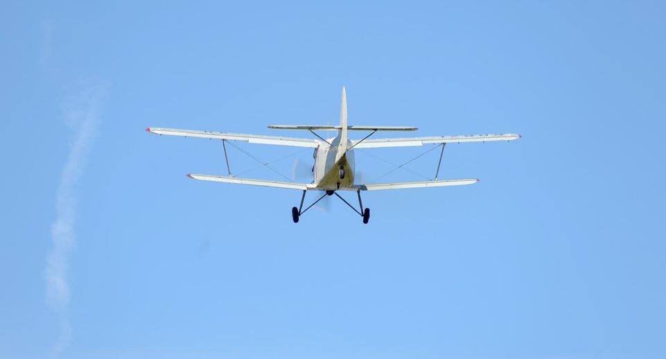    Elena Mayorova/Global Look Press / www.globallookpress.com