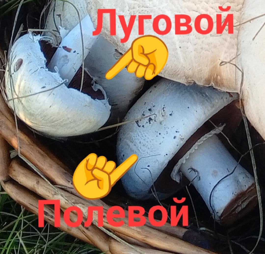 Фото авторов