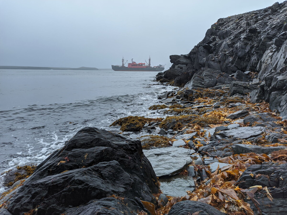 НЭС «Михаил Сомов» в заливе Моллера, Новая Земля. Фото автора