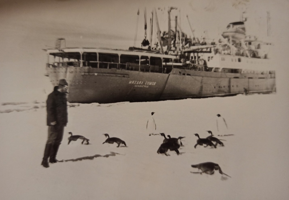 НЭС «Михаил Сомов» у берегов Антарктиды, станция Молодежная, 1989 г. Из личного архива Баталина А.Н. Публикуется впервые