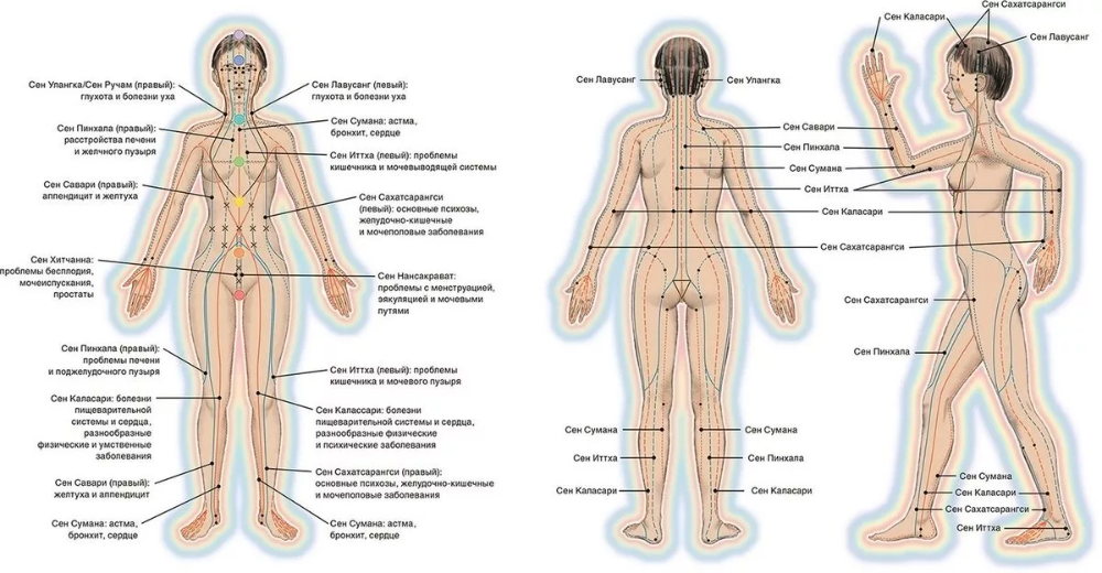Фото из сети интернет