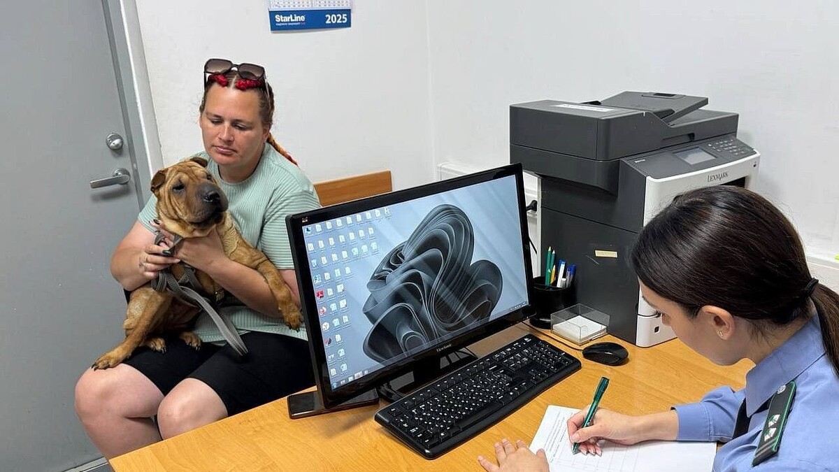    Фото: ЮМУ Россельхознадзора