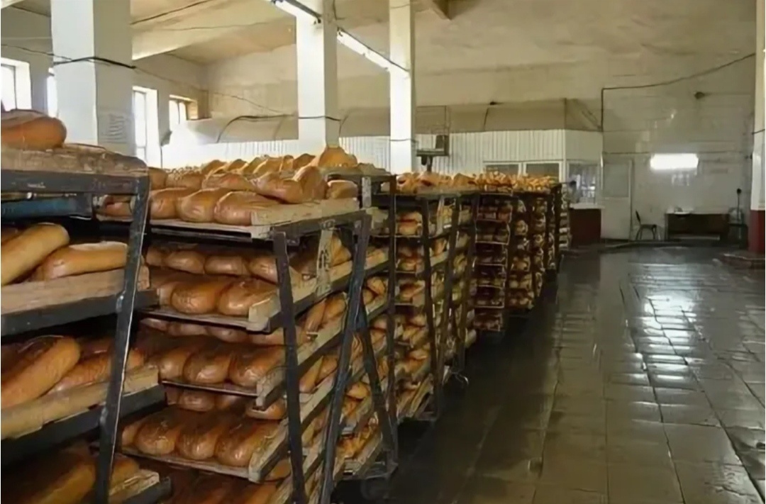 Фото из интернета 