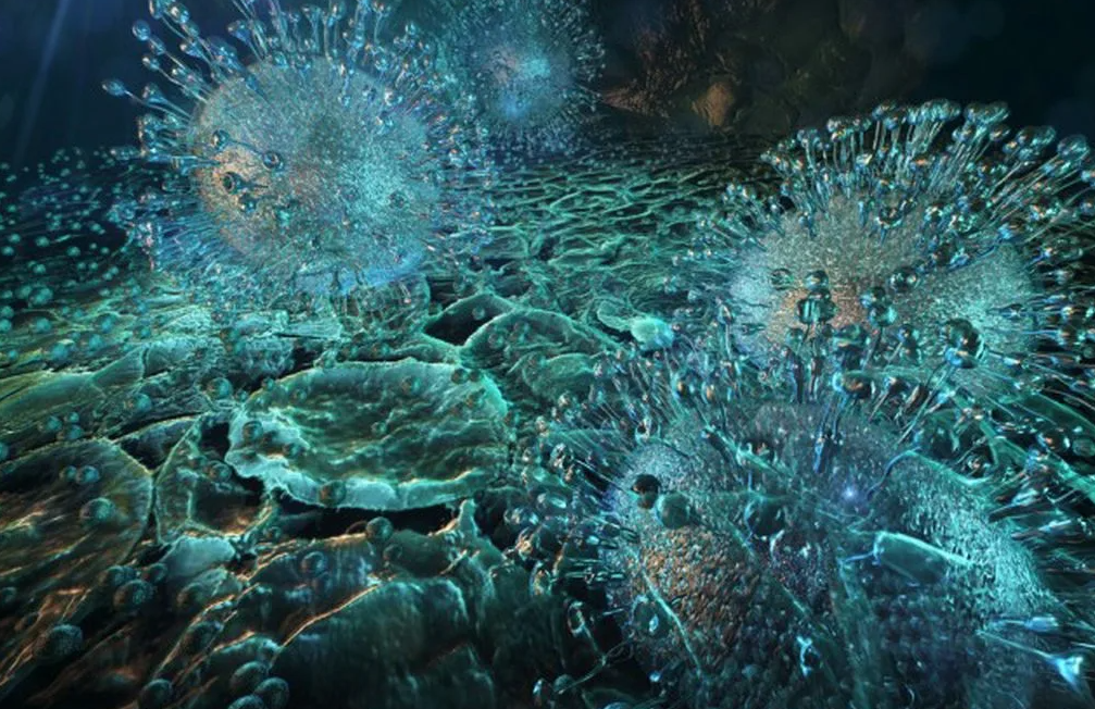 В океане обнаружены вирусы-гиганты. Скрытый мир под водой, который потряс учёных