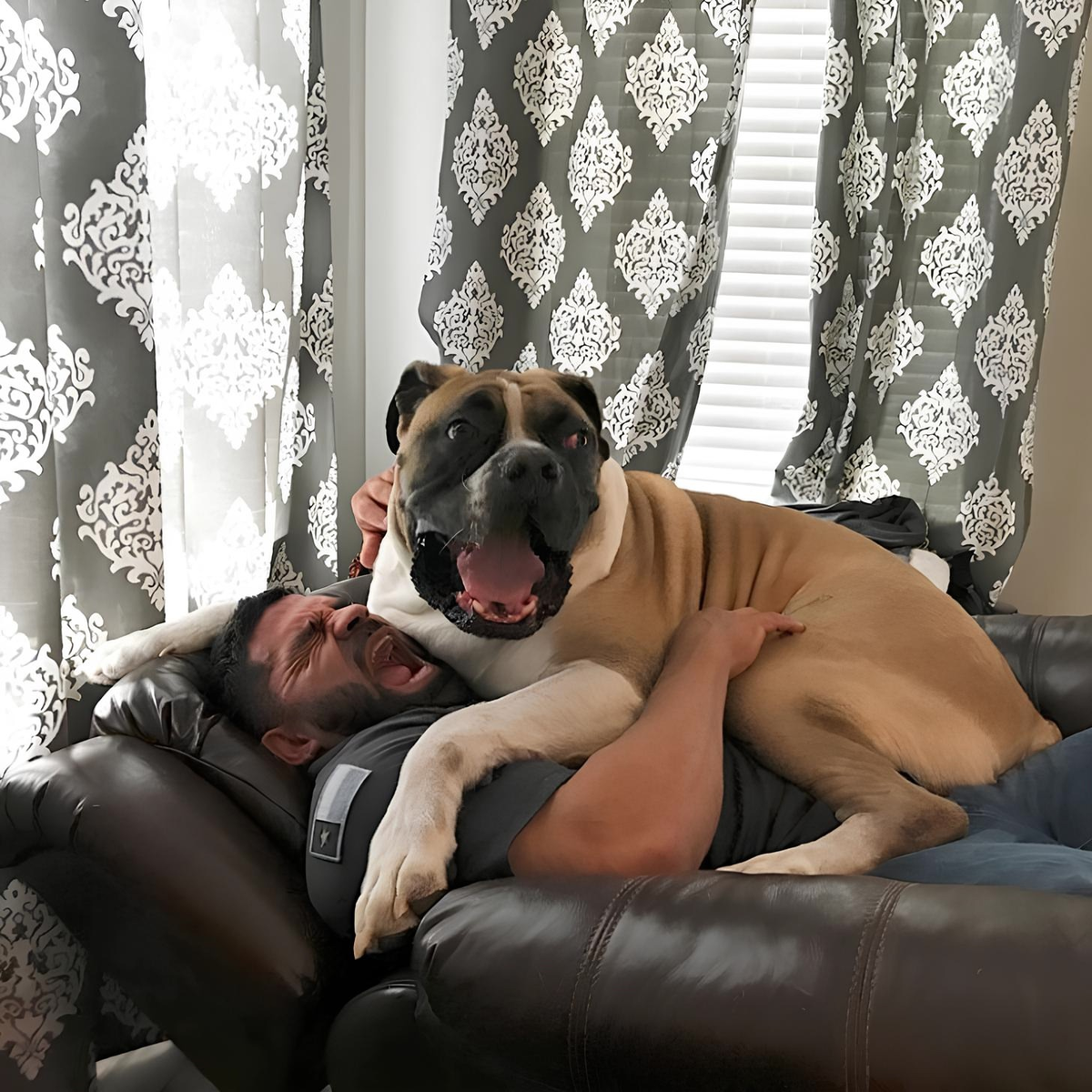 Скорая пушистая помощь прибыла!