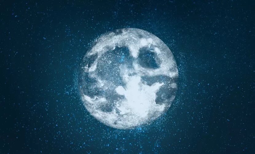 Источник: rawpixel.com / freepik.com