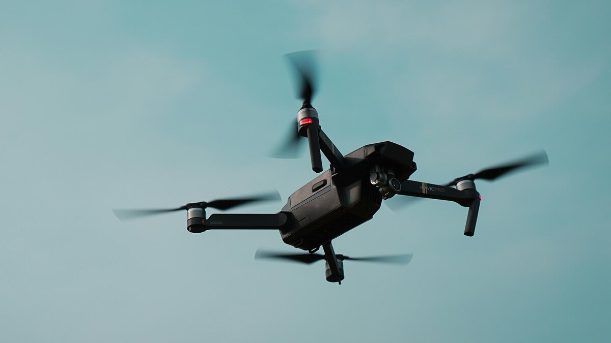    Фото: unsplash.com