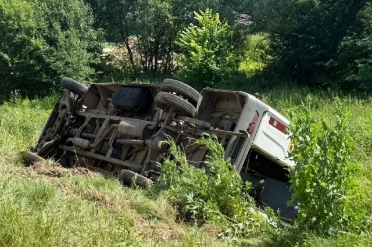    В Подмосковье микроавтобус опрокинулся в кювет, пострадали 15 человек