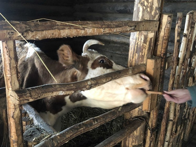 Фрагмент видео из ролика Юлии Черватенко