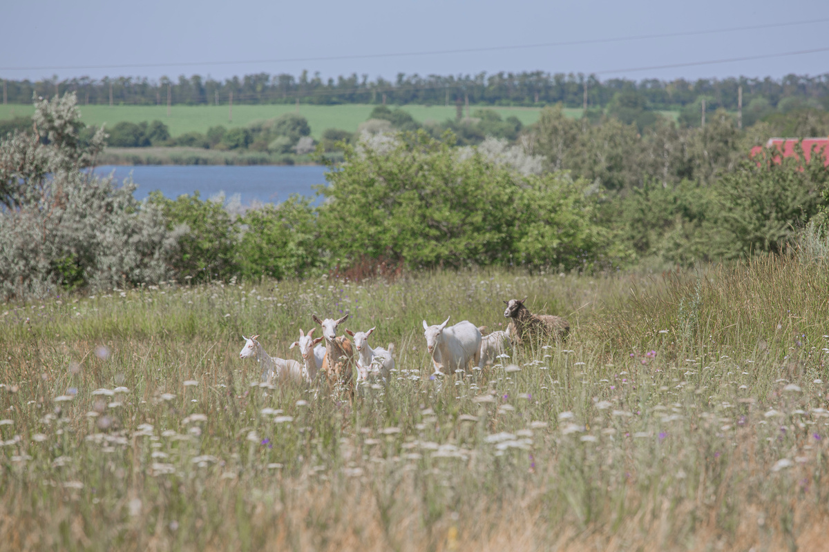 Картинка с бесплатного фотостока https://unsplash.com, автор Tatyana Rubleva