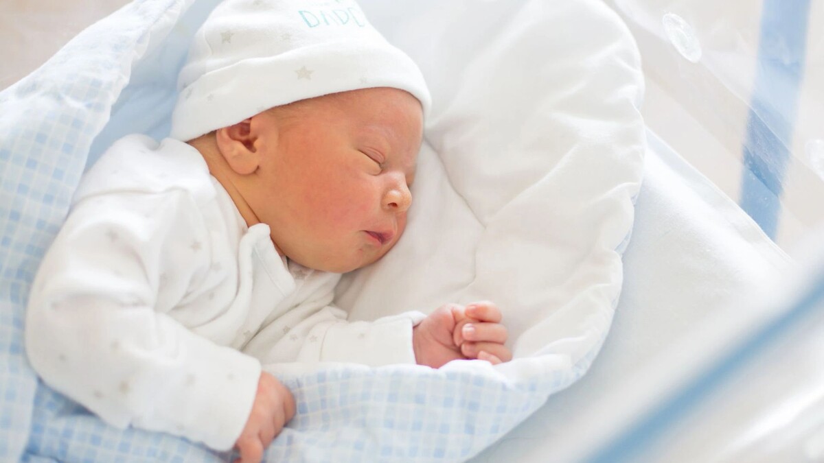    Фото: Tomsickova Tatyana / Shutterstock / Fotodom