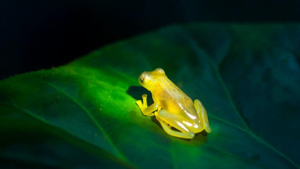 Фото: © www.globallookpress.com/Matthias Graben/imageBROKER.com