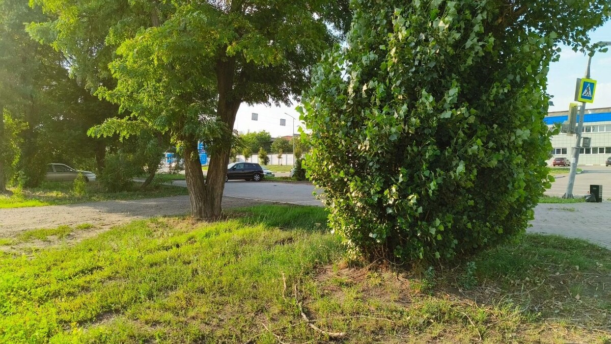     Источник: bel.ru