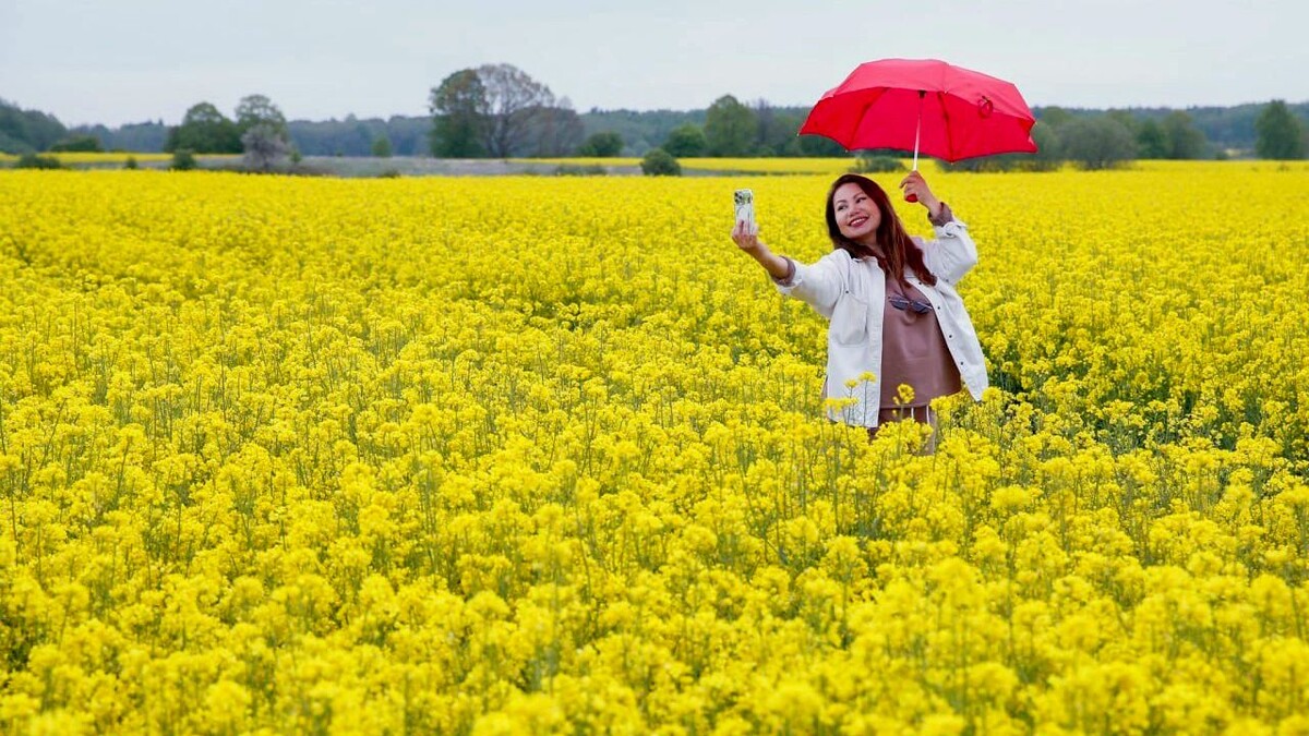    Фото: Альберт Людвиг