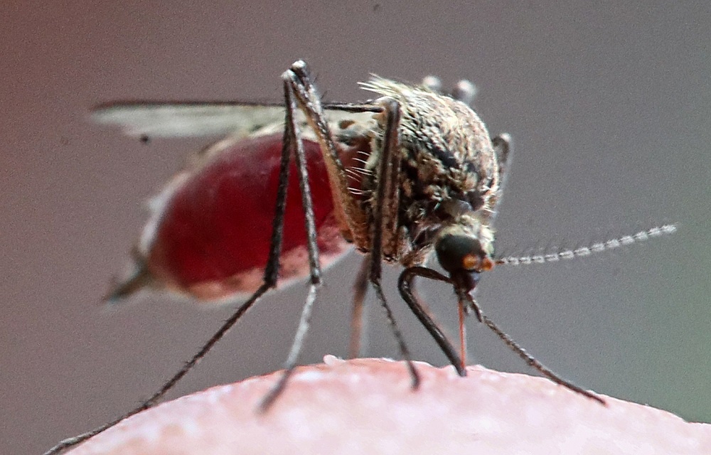 Фото: Валерий Шарифулин/ТАСС