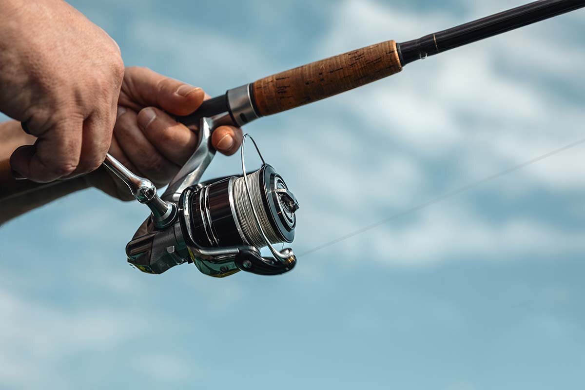    Фото: Smiltena / Shutterstock.com