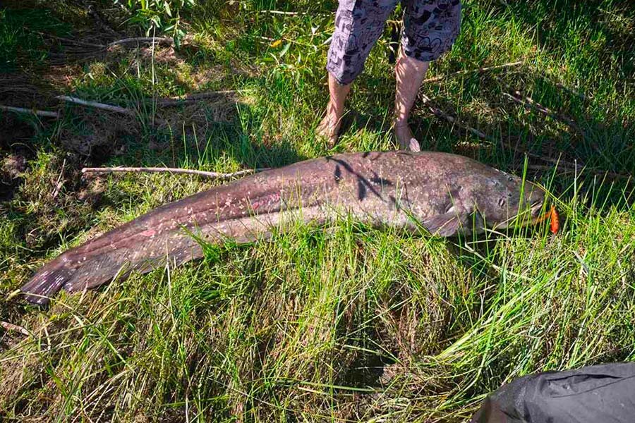    Фото: Евгений Юхник / Fishing.by