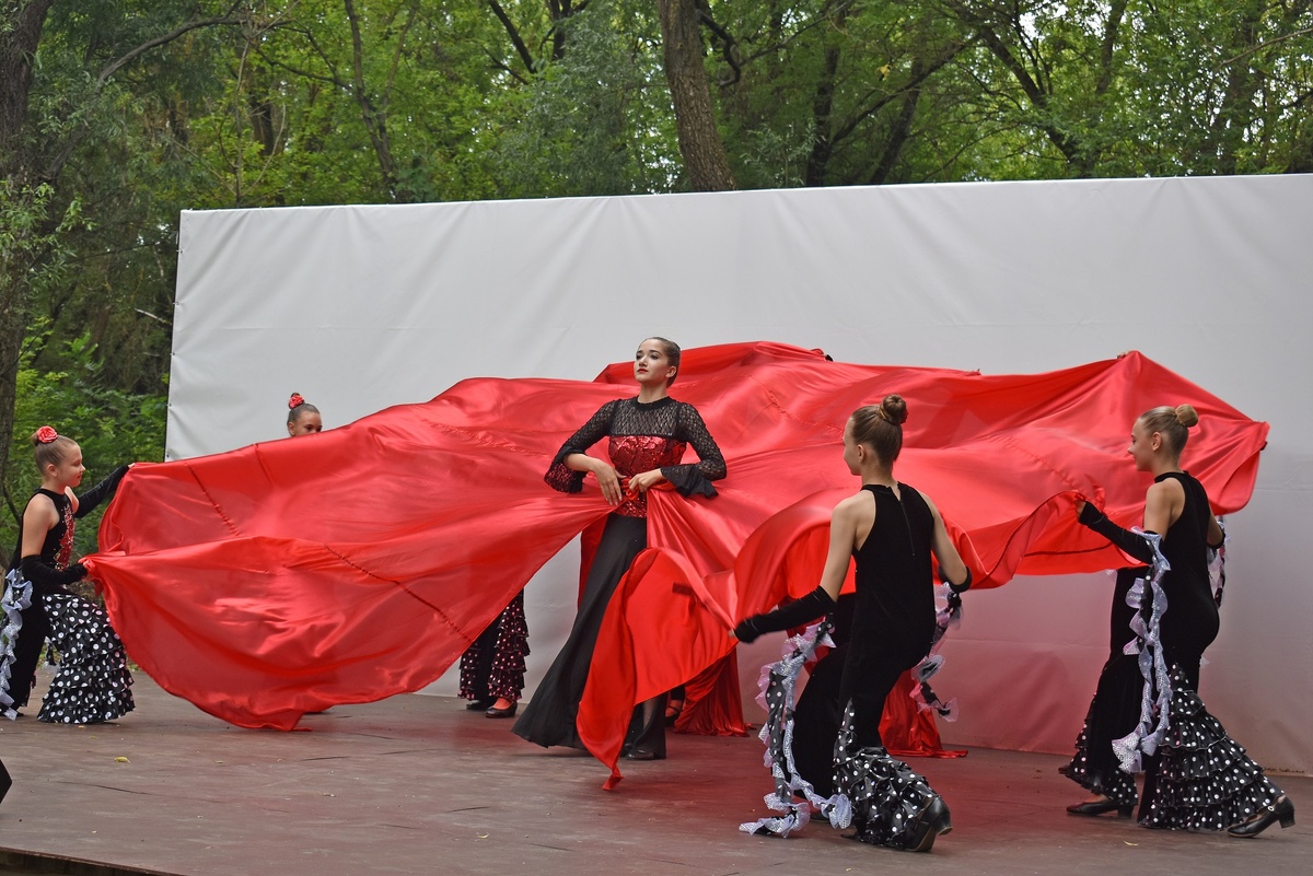 выступление лискинских артистов
