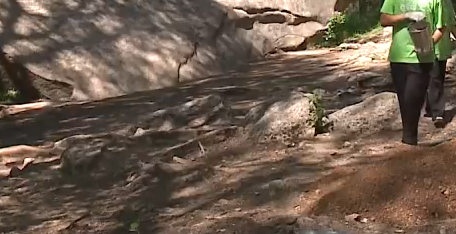     На «Красноярских Столбах»​ стартовал проект, в котором может поучаствовать каждый