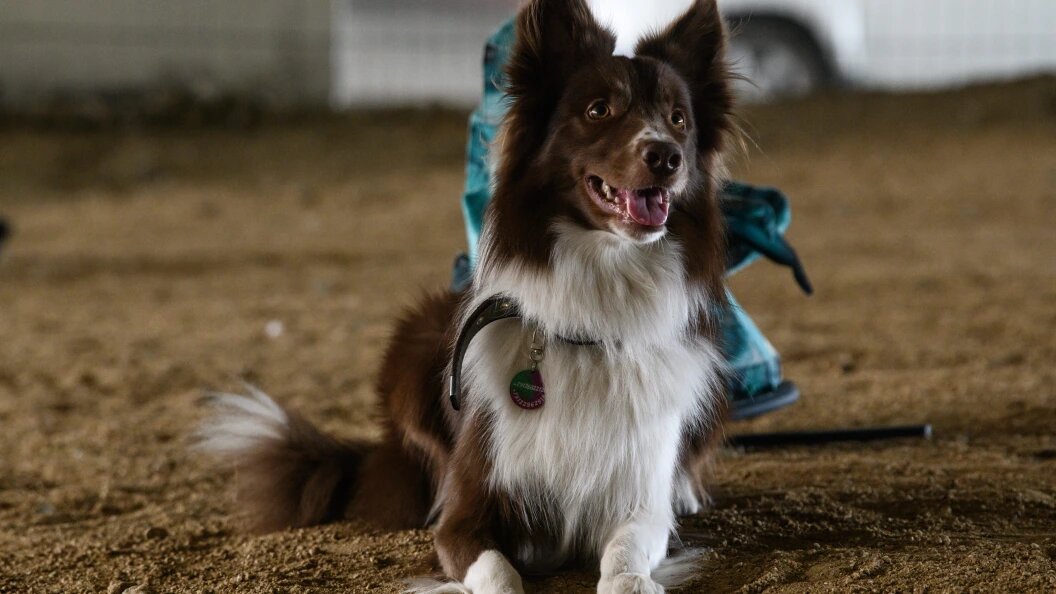    Ilya Moskovets/URA.RU/Globallookpress