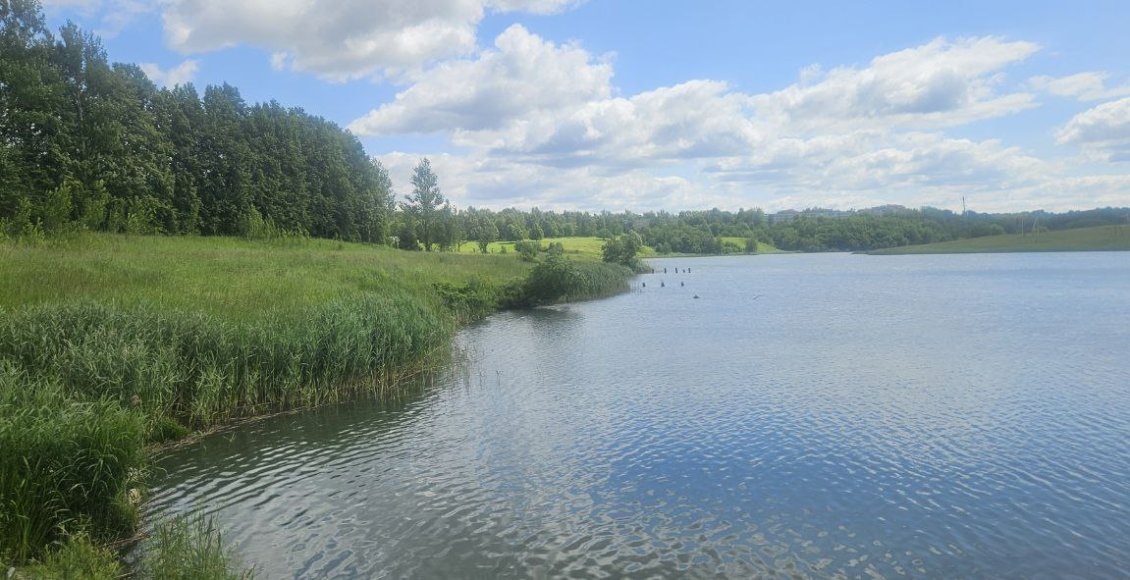    Фото: Минэкологии Московской области