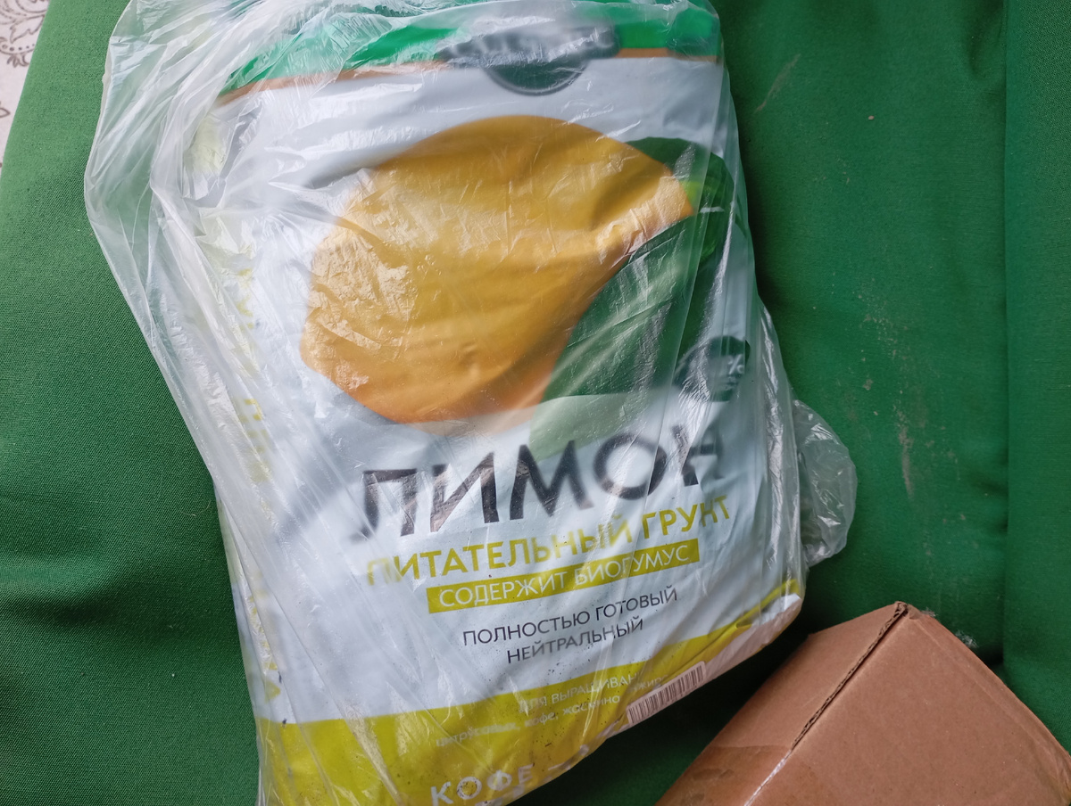 Фото автора.