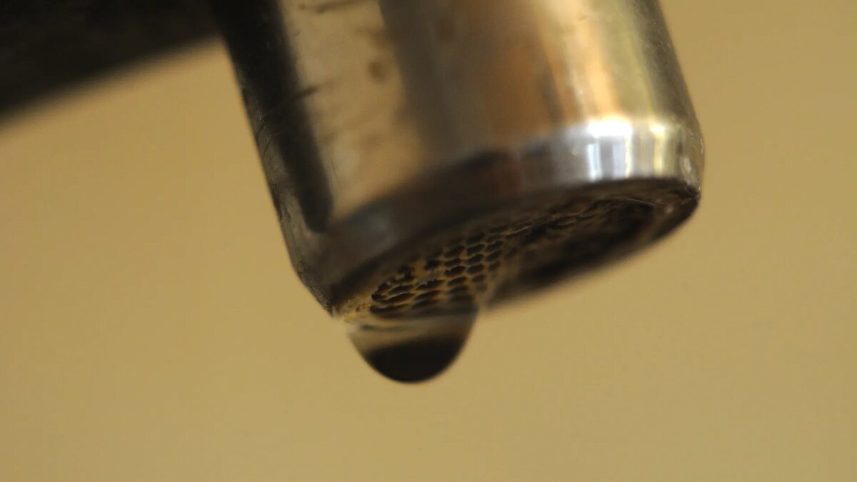 Фото – Медиасток.рф