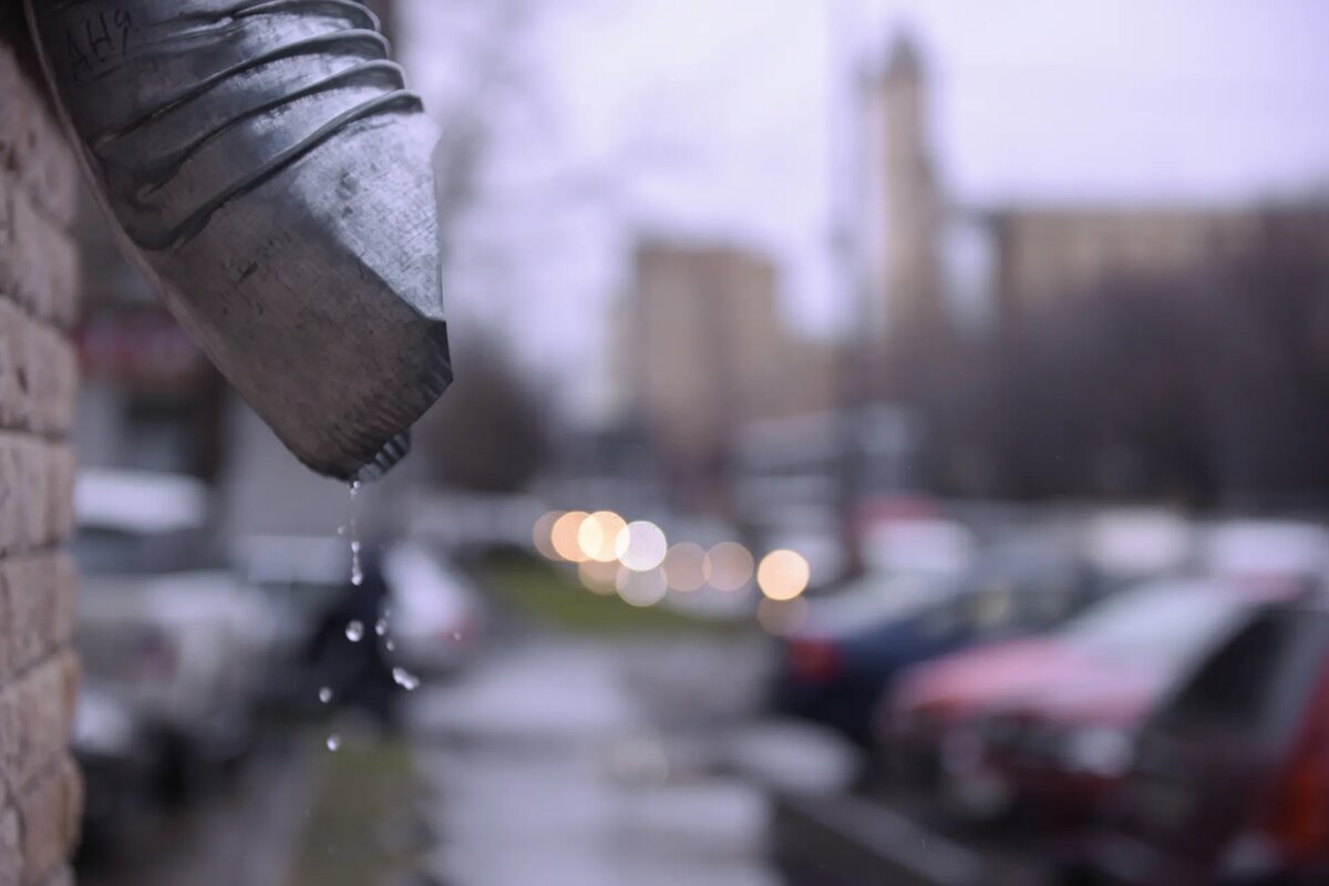 Фото – Медиасток.рф