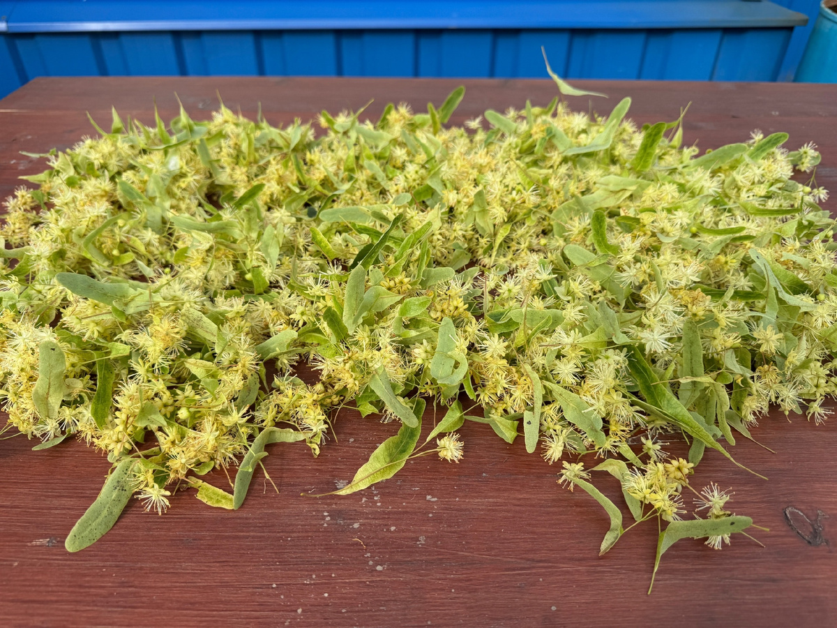 Все фото - автора