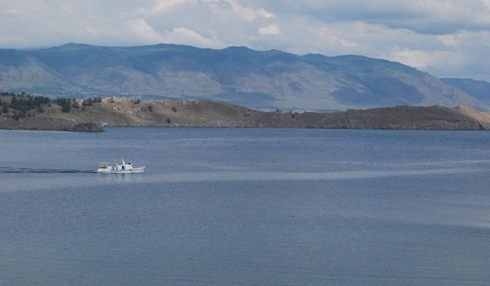    Минприроды предложило разрешить сплошные рубки леса у Байкала