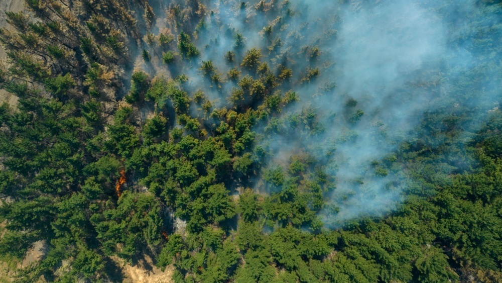     Фото: Castro and Schnaidt/Shutterstock/FOTODOM