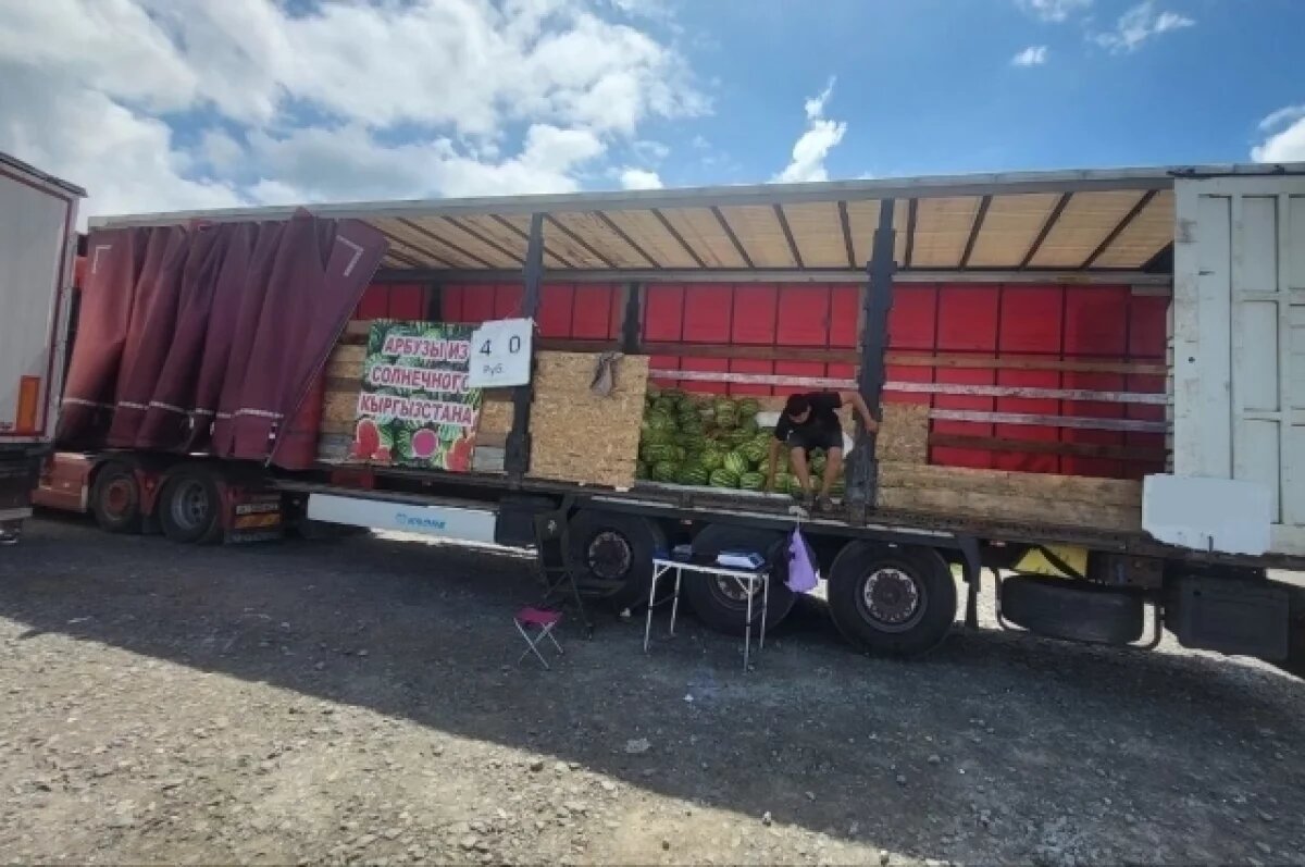    Полторы тысячи арбузов изъяли у уличных торговцев в Новосибирске