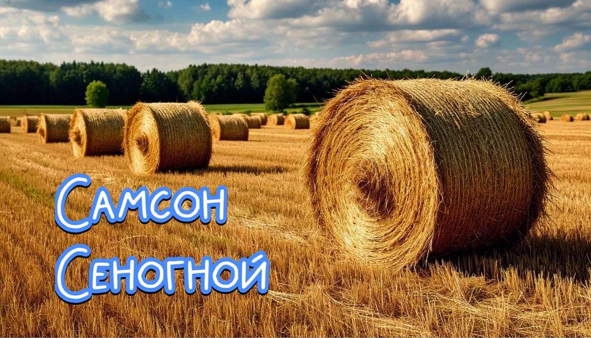 Фото создано «Известиями»
Открытка к народному празднику Самсон Сеногной