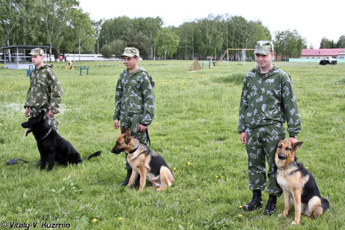 Фото: Виталий В. Кузьмин / CC BY‑NC‑ND 4.0