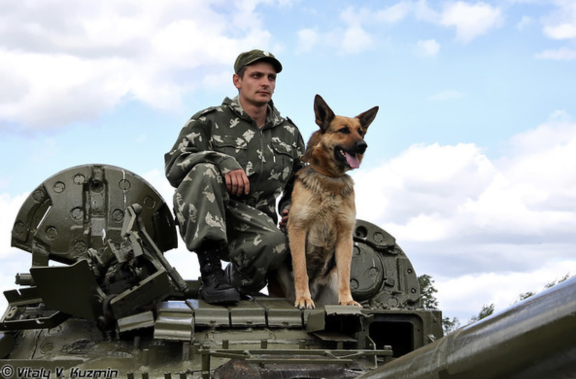 Фото: Виталий В. Кузьмин / CC BY‑NC‑ND 4.0